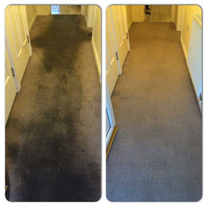 Steaming Sam Carpet Cleaning Service