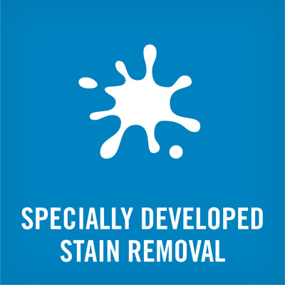 Steaming Sam Stain Removal Service