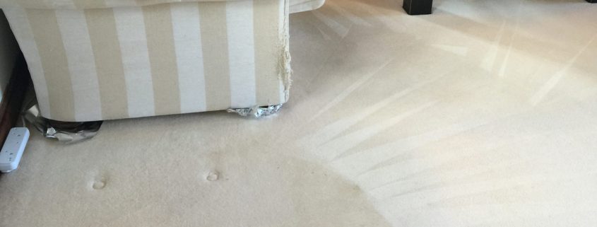 Steaming Sam Carpet Cleaning Service