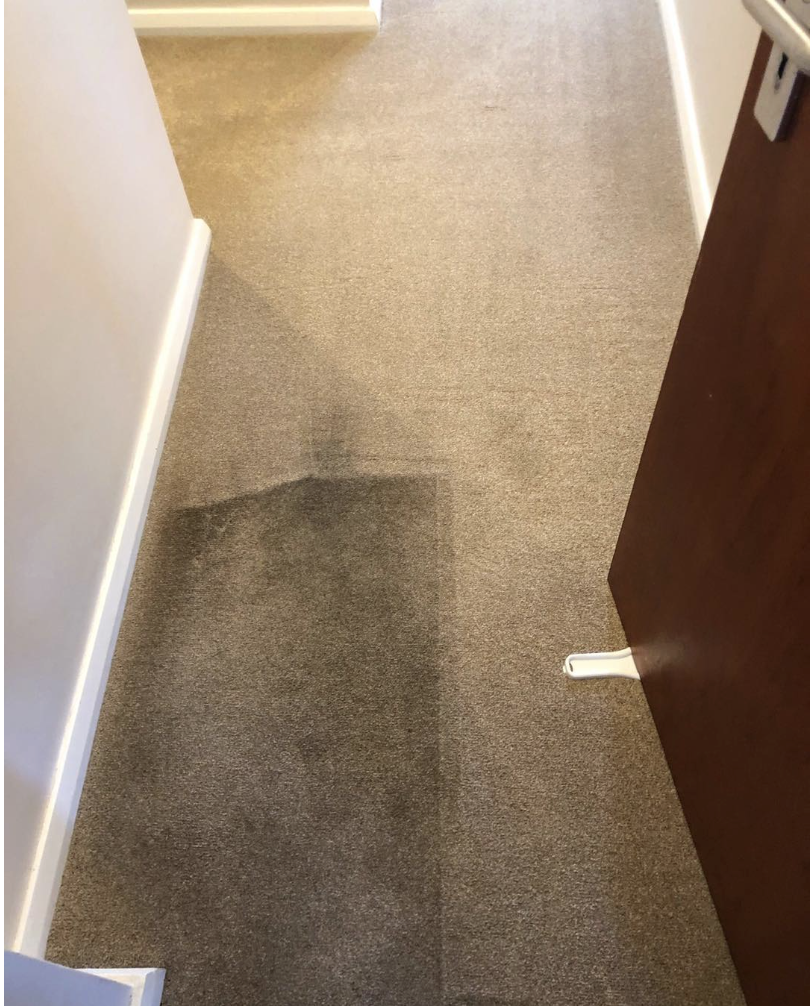 Carpet cleaning in Solihull